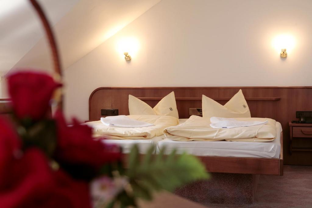 Rennsteighotel Herrnberger Hof Neuhaus am Rennweg Rom bilde